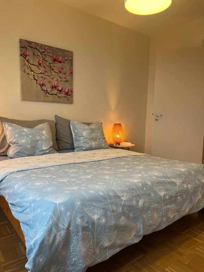 Gîte pour 7 personnes, avec vue ainsi que vue sur le lac et jardin à Neuchâtel - 4