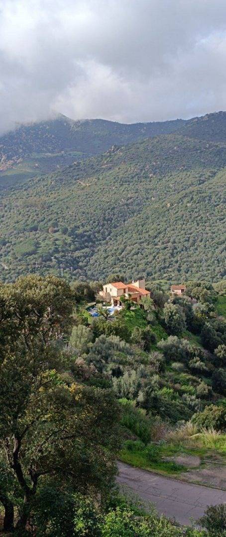 Location de vacances pour 8 personnes, avec jardin ainsi que piscine et terrasse, animaux acceptés à Ajaccio - 2