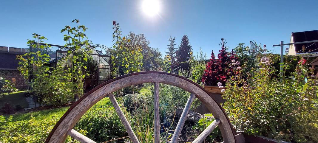 Ferienwohnung für 5 Personen, mit Garten in Olbernhau - 2