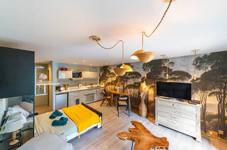 Appartamento intero, Studio La Bohème in stile provenzale con terrazza, parcheggio e aria condizionata in Lorgues, Draguignan e dintorni