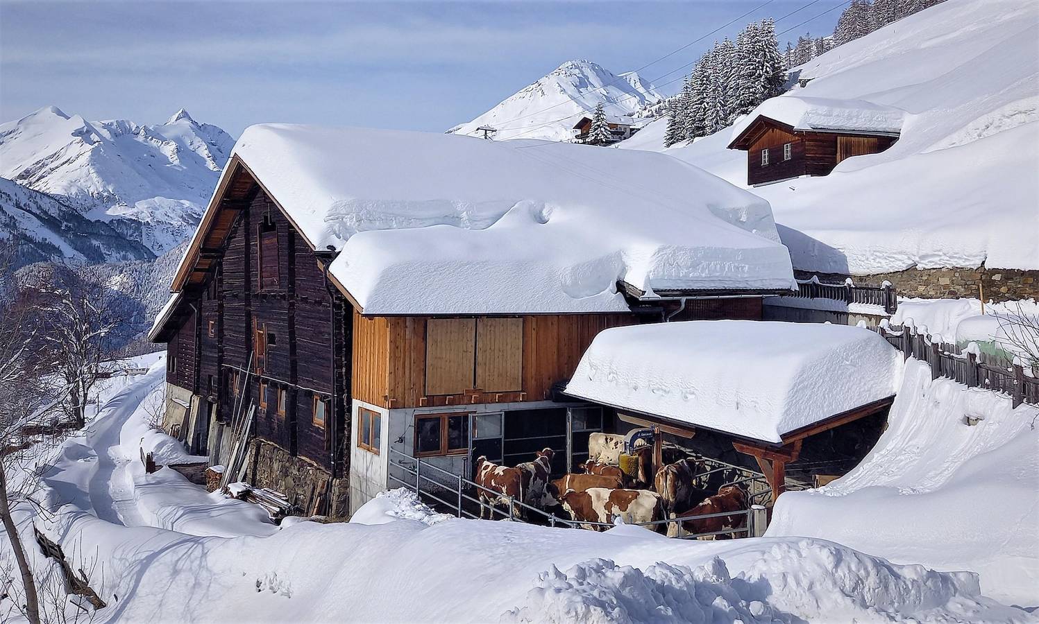 Ganze Ferienwohnung, Appartement Almrausch in Heiligenblut, Bezirk Spittal an der Drau