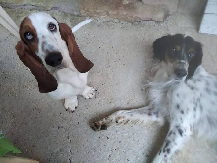 Gîte pour 4 personnes, avec jardin et piscine à Marboz - 3