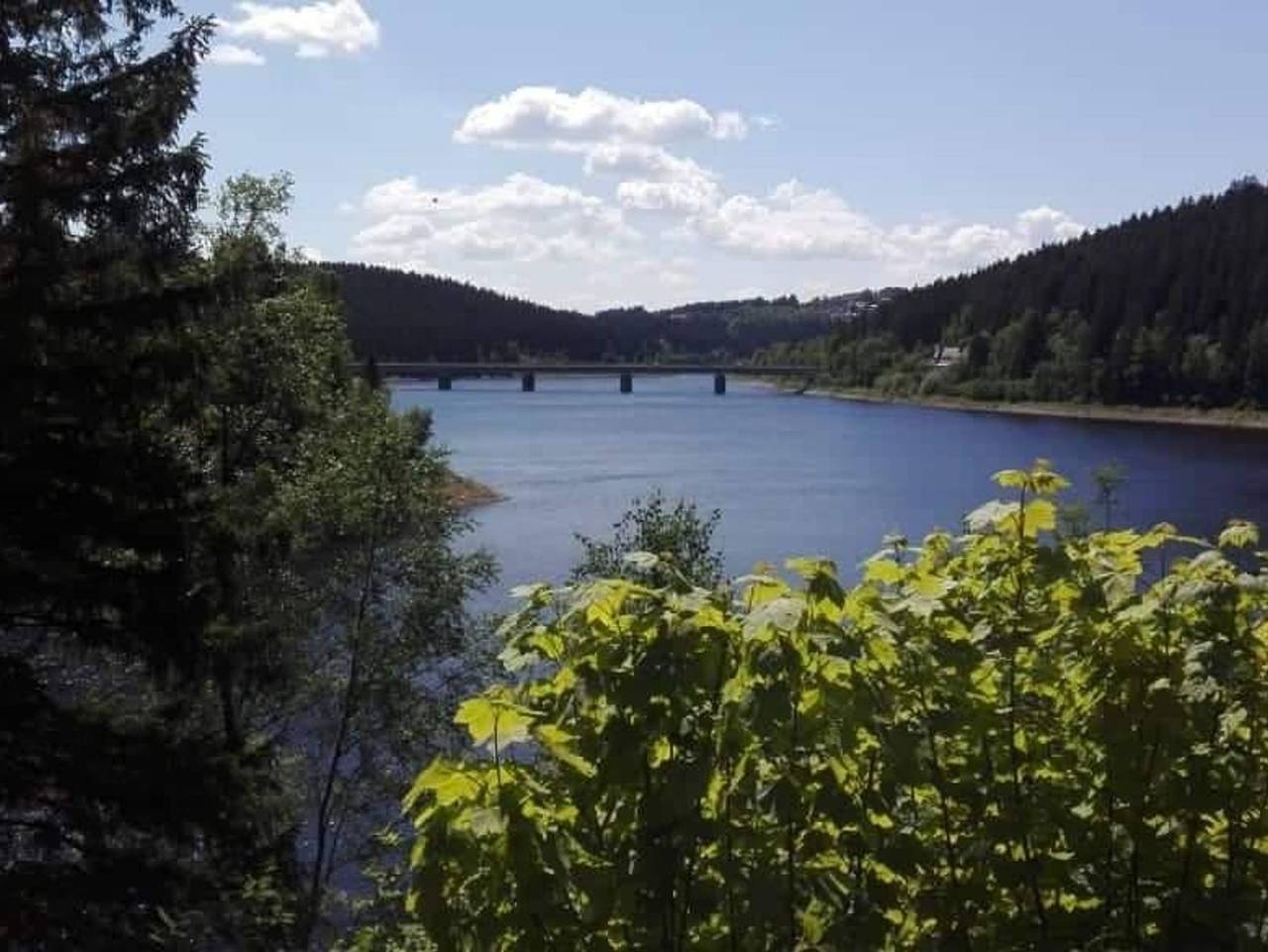 Ganze Ferienwohnung, Kuschelnest in Altenau, Harzvorland