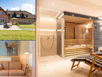 Ferienhaus für 6 Personen, mit Sauna und Garten auf Föhr