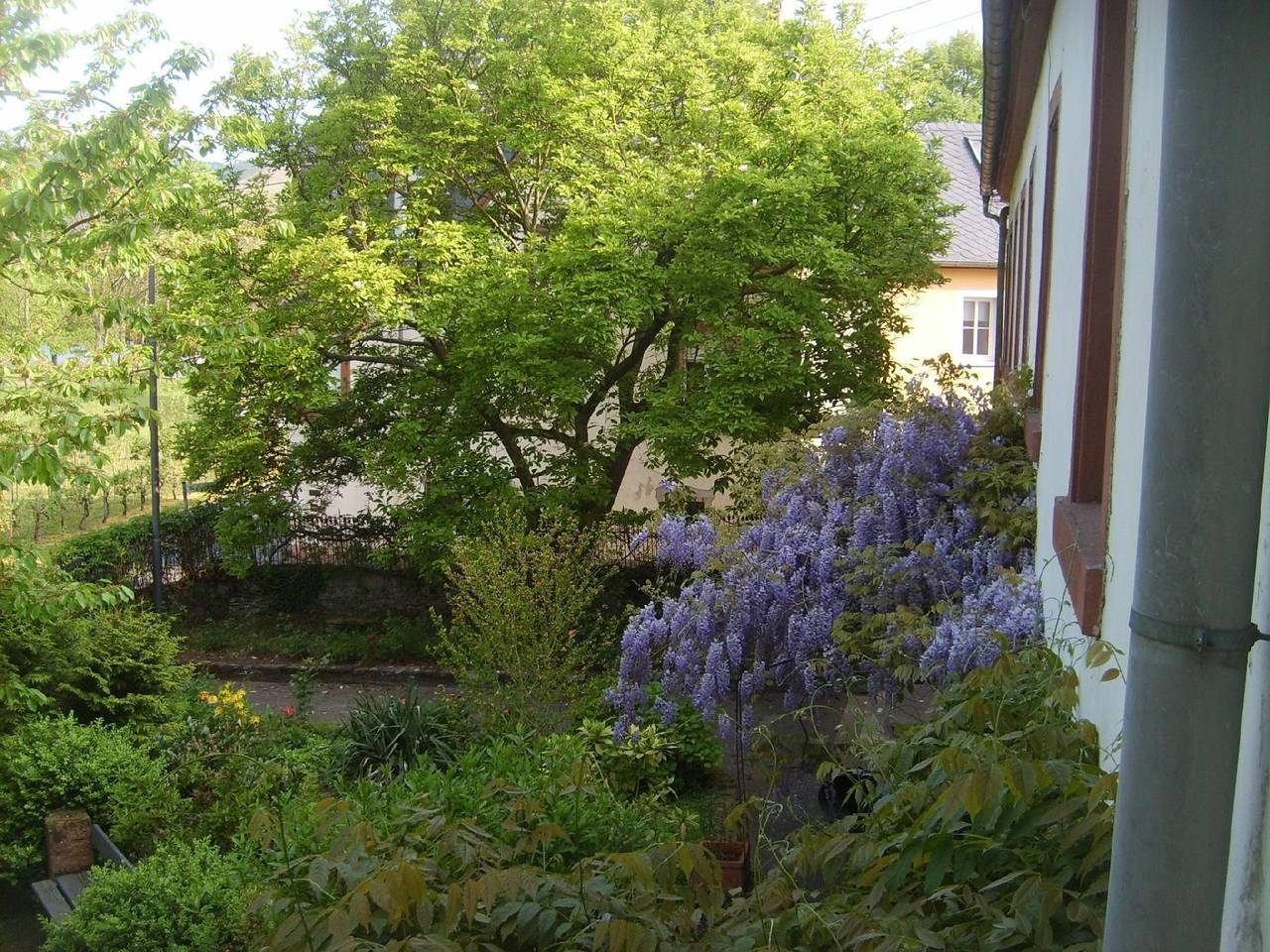Ganze Ferienwohnung, Ferienwohnung mit Garten und Parkplatz in Neumagen-Dhron, Bernkastel-Kues & Umgebung