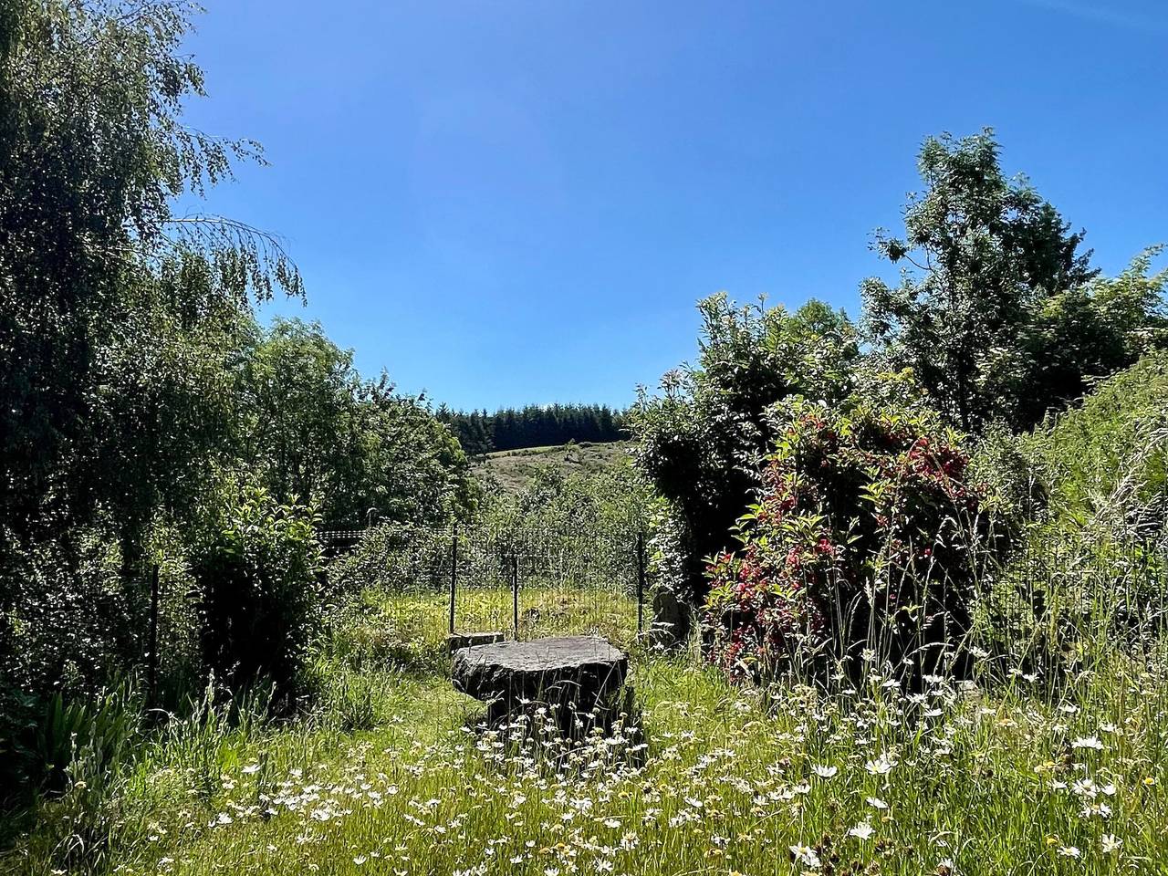 Maison en pierres avec cheminée et jardin - Proche St-Paulien in Saint-Geneys-près-Saint-Paulien, Parc Naturel Régional Livradois-Forez