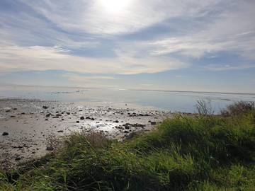Feriehus til 5 Personer i Lyngså, Nordøst-Jylland, Bilde 2