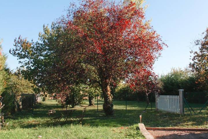 Appartement de vacances pour 4 personnes, avec vue et jardin
