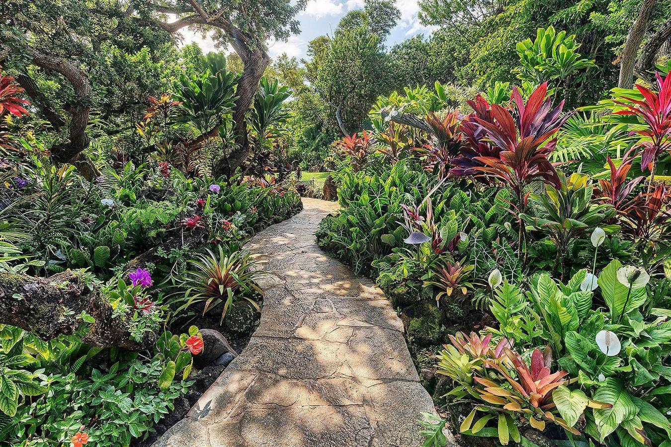 Sea Song in Kilauea with 4 bedrooms and 4 bathrooms in Kalihiwai, Kauai