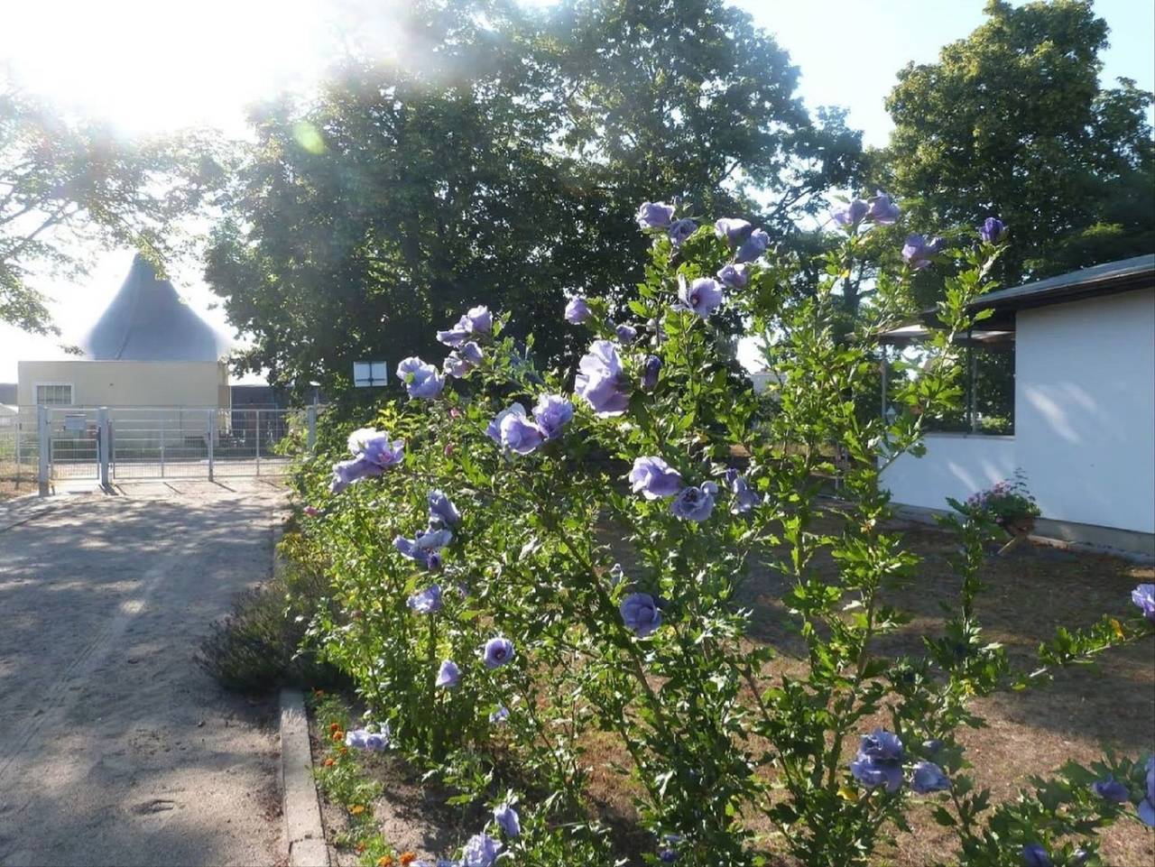 Ferienhaus Sonnenschein Zinnowitz in Zinnowitz, Usedomer Norden