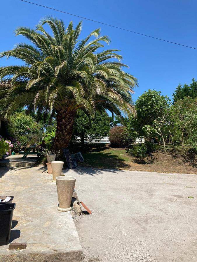 Location de vacances pour 14 personnes, avec jardin ainsi que piscine et vue à Heugas - 3