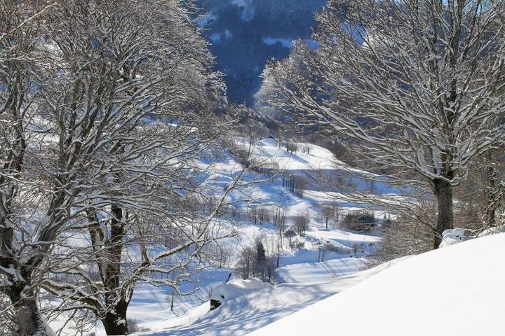 Hôtel pour 2 personnes, avec jardin et terrasse, animaux acceptés à Mandailles-Saint-Julien - 3