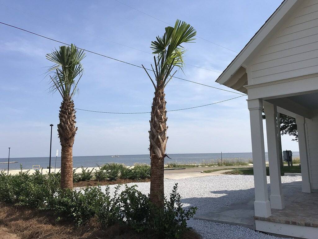 \"Prime Location\" New Beachfront 3 Schlafzimmer am Strand in der Innenstadt von Bay St. Louis in Bay St. Louis, Mississippi Gulf Coast