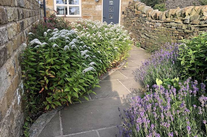 Ferienhaus für 4 Personen, mit Terrasse und Garten, mit Haustier - 1