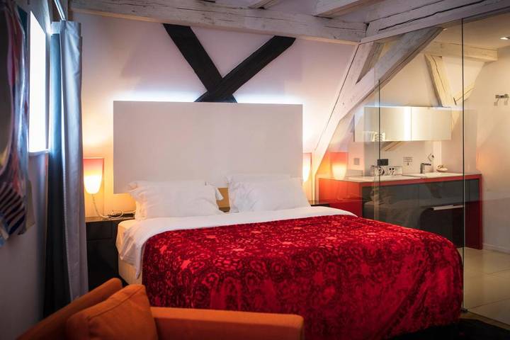 Chambre d’hôte pour 3 personnes, avec jacuzzi et terrasse dans le Haut-Rhin - 3