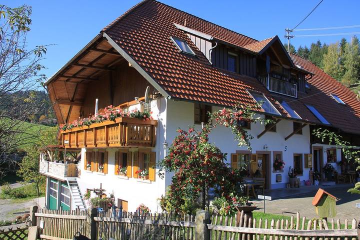 Gîte pour 5 personnes, avec jardin, adapté aux familles à Steinach - 4