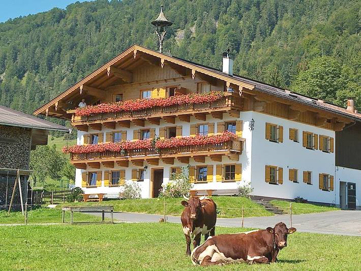 Ganze Ferienwohnung, Doppelzimmer mit Dusche, Wc,Tv in Kössen, Kaisergebirge