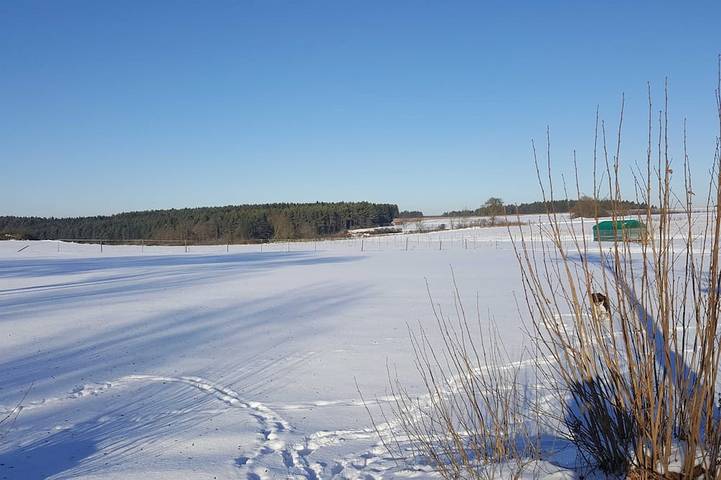 Bungalow für 3 Personen, mit Balkon und Garten