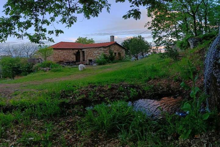 Gîte pour 5 personnes, avec piscine dans Ucanha - 3