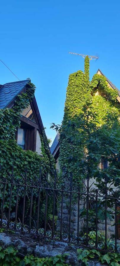 Casa rural para 4 personas, con vistas al lago y vistas además de piscina y jardín, Se admiten mascotas en Puerto de Navacerrada - 3