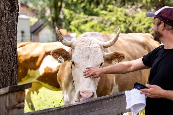 Ferienwohnung für 4 Personen, mit Garten und Ausblick, mit Haustier in Prägraten am Großvenediger - 4