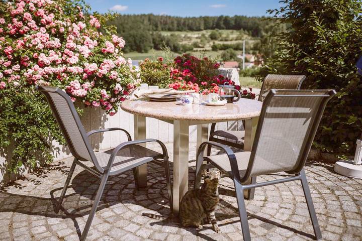 Bauernhof für 4 Personen, mit Garten, mit Haustier in Franken - 3