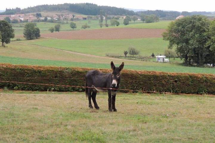 Location de vacances pour 4 personnes, avec jardin, animaux acceptés à Saint-Jean-Saint-Gervais - 4