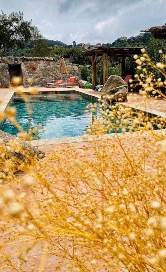 Appartement entier, Résidence de Luxe 4 étoiles à Pietralba, 4 logements piscine chauffée Balagne in Pietralba, Région de Calvi