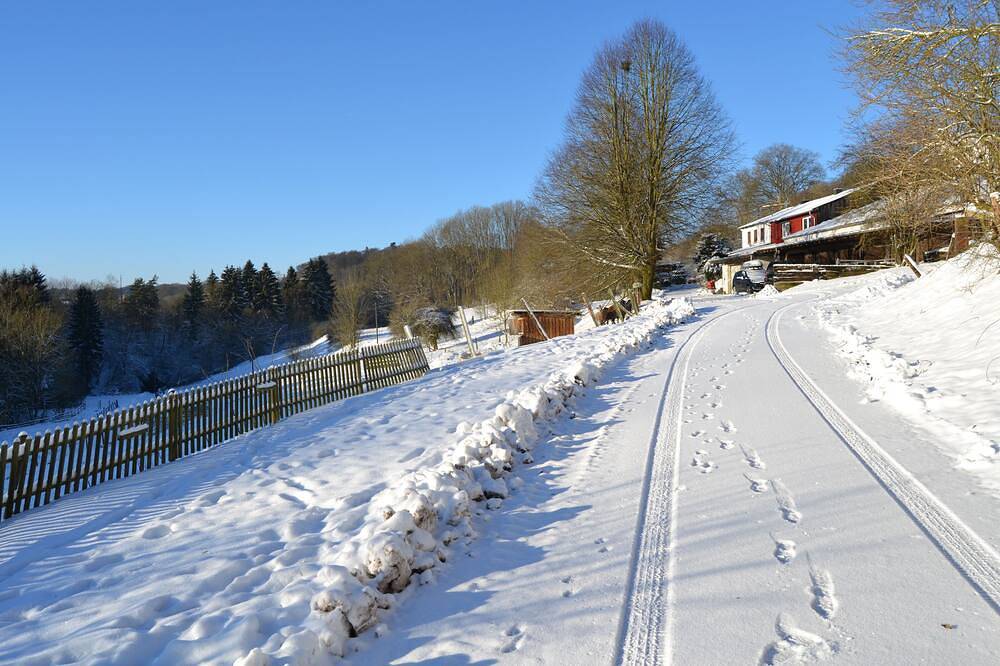 Ganze Wohnung, Bauernhof mit Schafen in idyllischer Alleinlage (Eifel) für 2 bis 8 Personen in Blankenheim, Naturpark Hohes Venn-Eifel