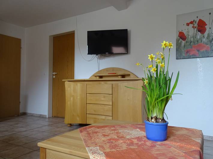 Ferienwohnung für 3 Personen, mit Sauna und Terrasse sowie Garten, mit Haustier in Haselünne - 2