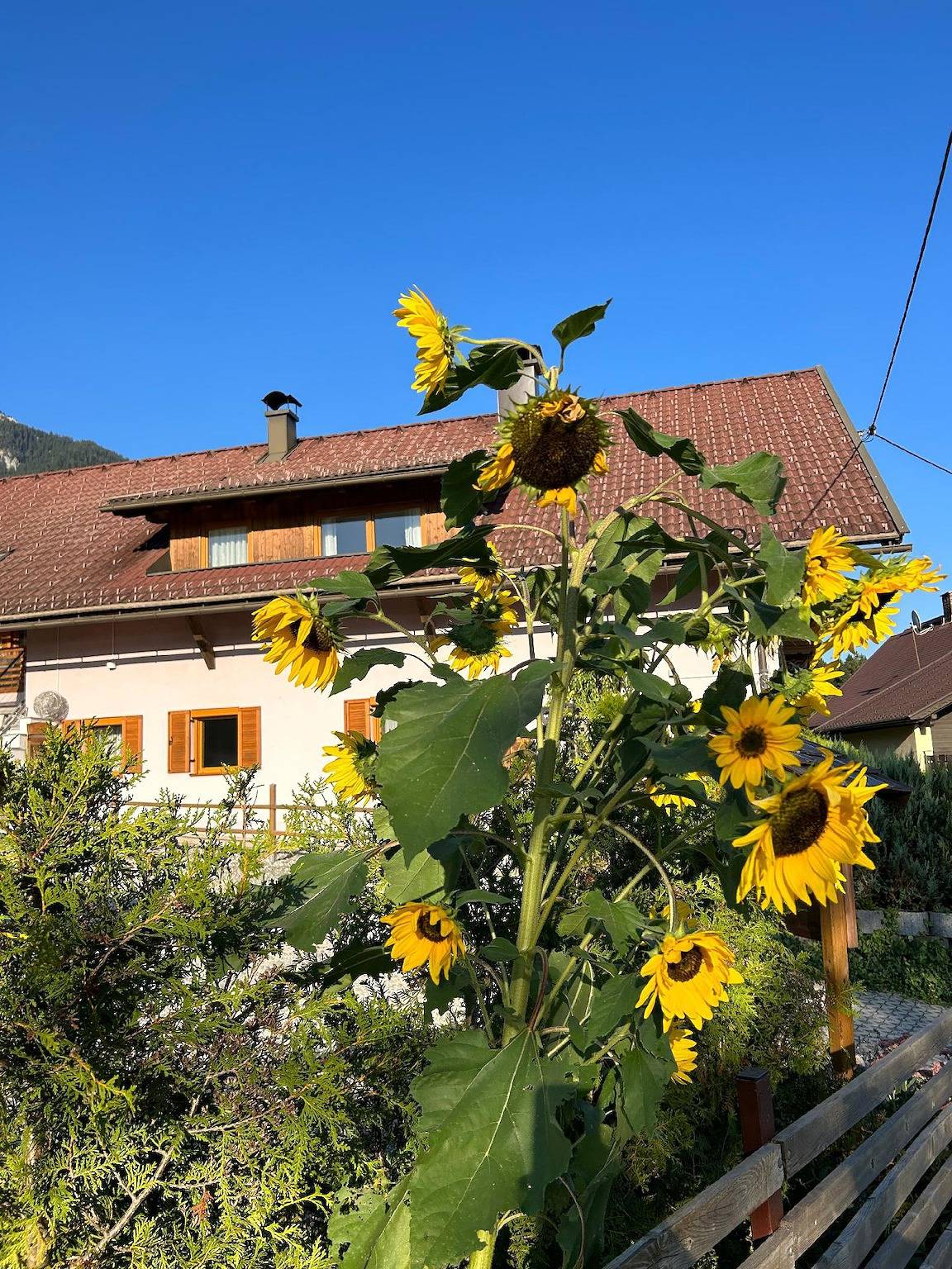 Ganze Ferienwohnung, Ferienwohnung in Hermagor Pressegger See mit eigenem Garten und Carport in Hermagor, Hermagor-Pressegger See