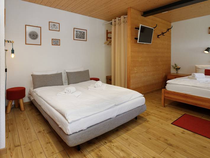 Hütte für 4 Personen, mit Terrasse und Garten in Grindelwald - 3