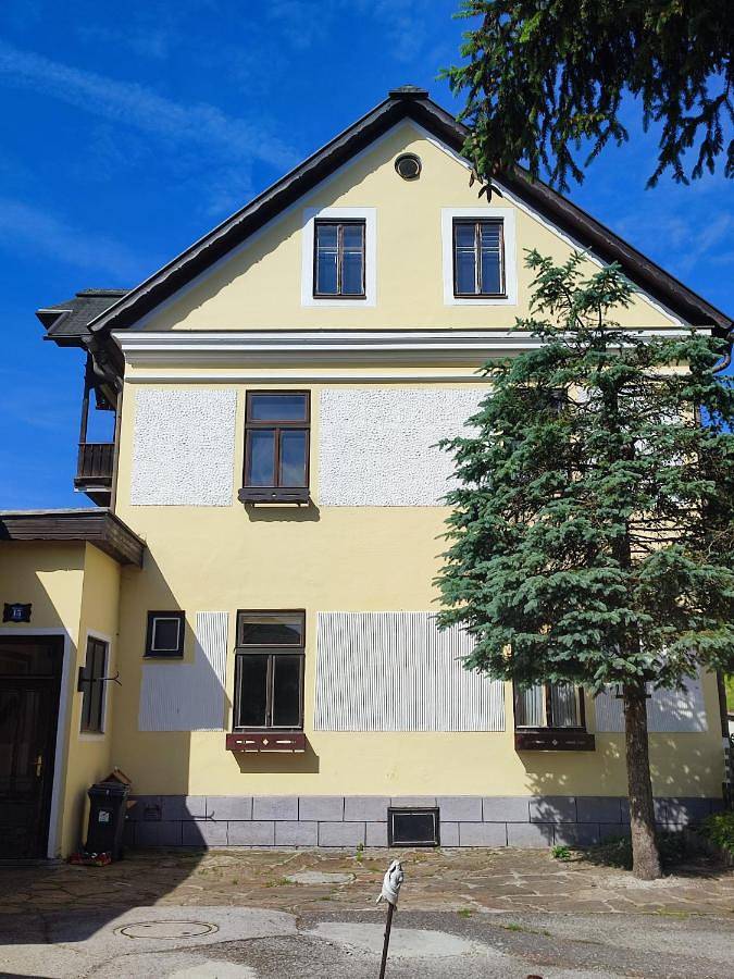 Ganze Wohnung, Nur 3 Min zu Skilift & 5Min zum See in Mitterbach am Erlaufsee, Mostviertel Region