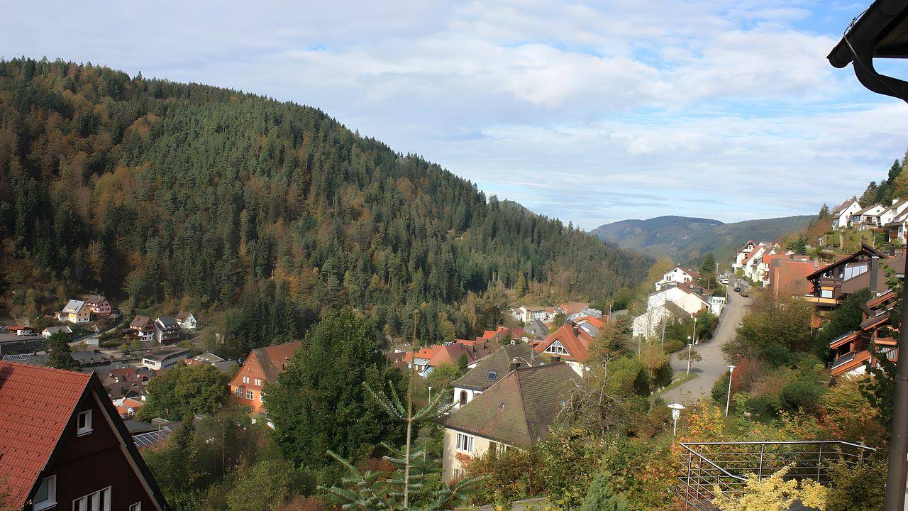 Ganze Ferienwohnung, Ferienwohnung für 2 Personen (60 m²) in Triberg in Triberg, Südschwarzwald