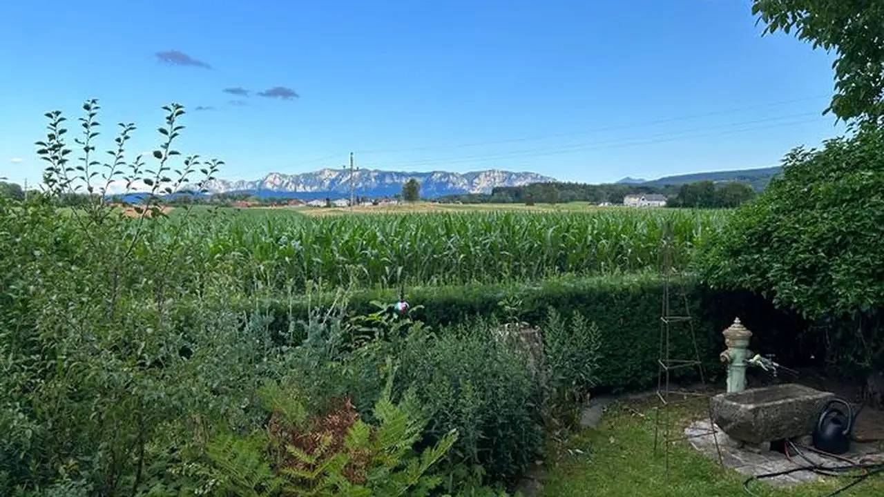 Ganze Ferienwohnung, Ferienwohnung für 8 Personen (160 m²) in Sankt Georgen im Attergau in Salzkammergut-Berge, Sankt Georgen im Attergau