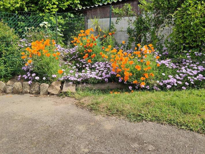 Location de vacances pour 4 personnes, avec Terrasse ainsi que Jardin et Vue à Bourg-Blanc - 3