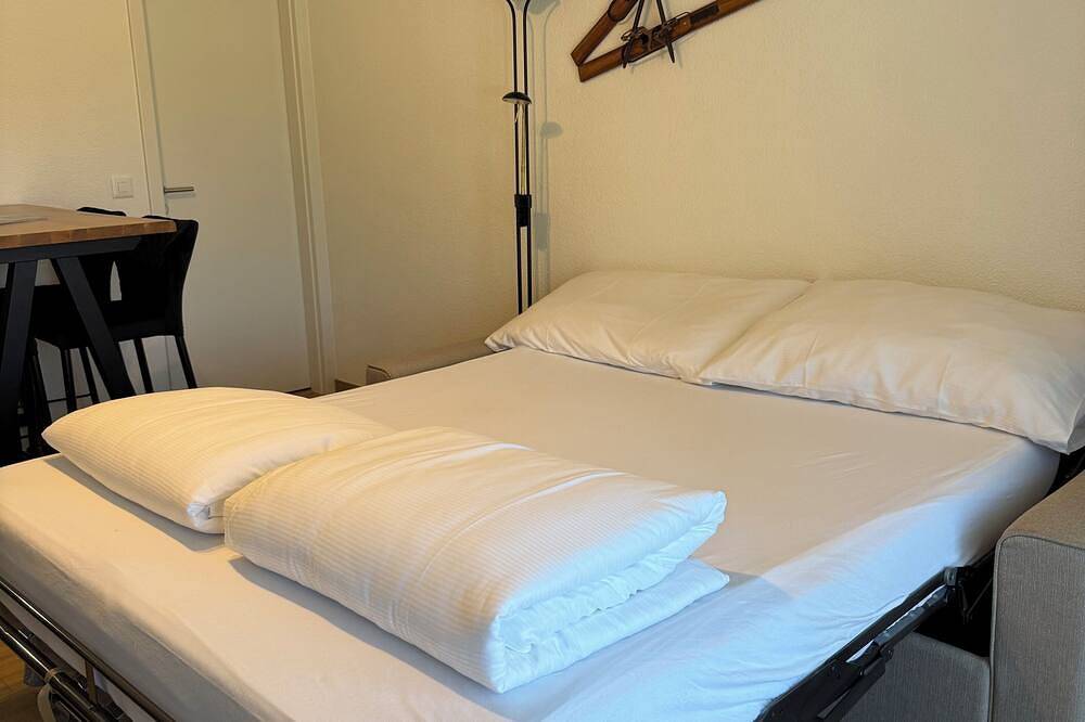 Ganze Wohnung, Studio Chesery in Morgins, in the heart of the Portes du Soleil in Morgins, Troistorrents