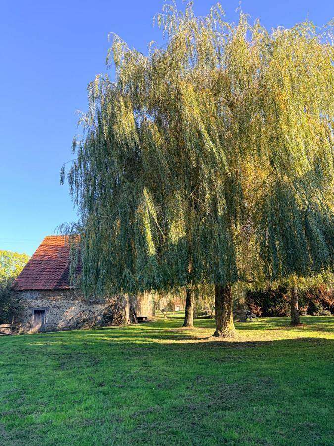 Maison de vacances pour 9 personnes, avec vue sur le lac ainsi que vue et jardin