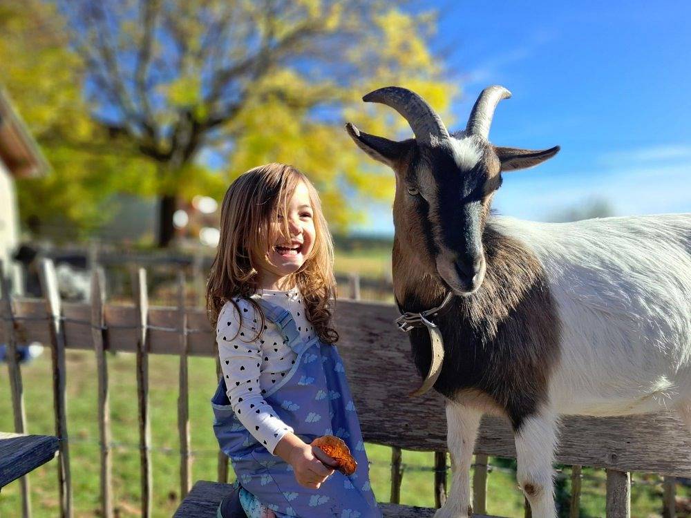 Ferienhof Ücker - Schwalbennest in Waltenhofen, Bayerisch Schwaben