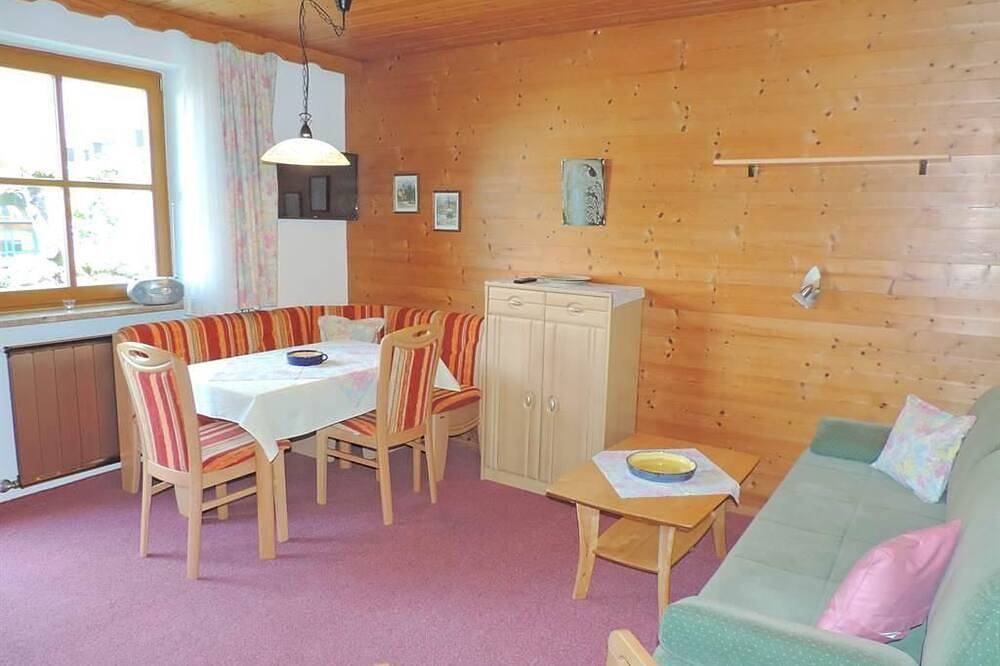 Ganze Wohnung, Schernthaner, Gästehaus - Apartment/1 Schlafraum/Dusche, Wc in Dorfgastein, Ski Amadé