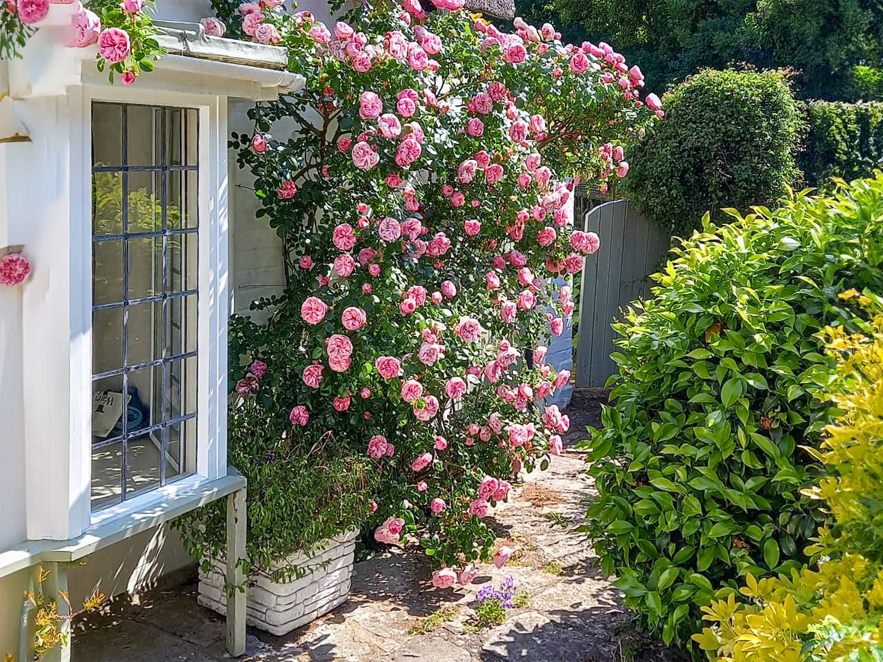 Smugglers Cottage in Barton on Sea, Hampshire