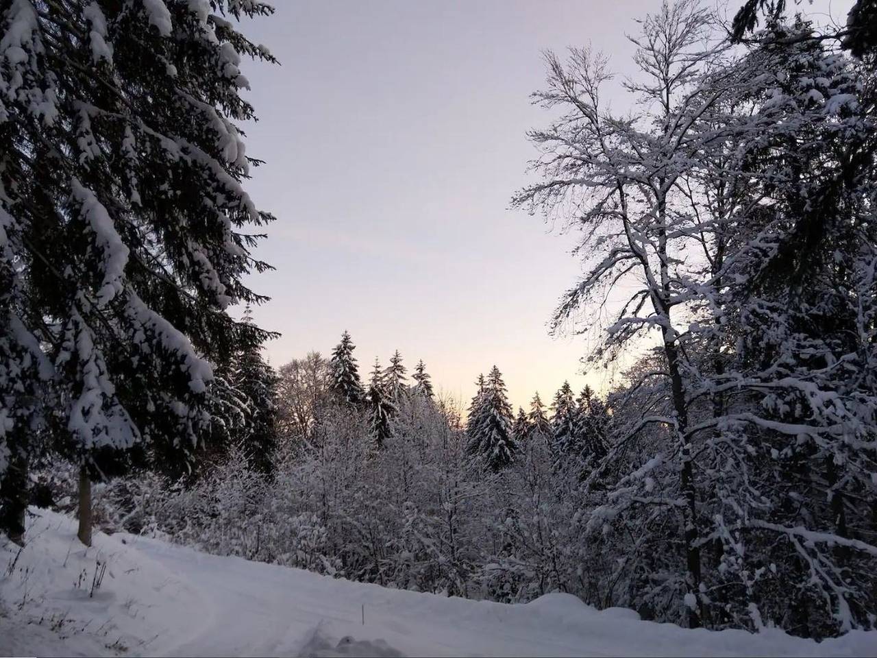 Ganze Wohnung, Ferienwohnung Auerhahn, 50 qm, 2 Schlafzimmer, max. 4 Personen in Höchenschwand, Südschwarzwald