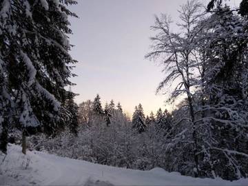 Hütte für 4 Personen in Höchenschwand, Hochschwarzwald, Bild 4