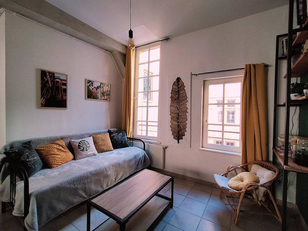 Appartement entier, Olivier - Appartement Champenois à Troyes chez Caty in Quartier du Vauluisant, Troyes
