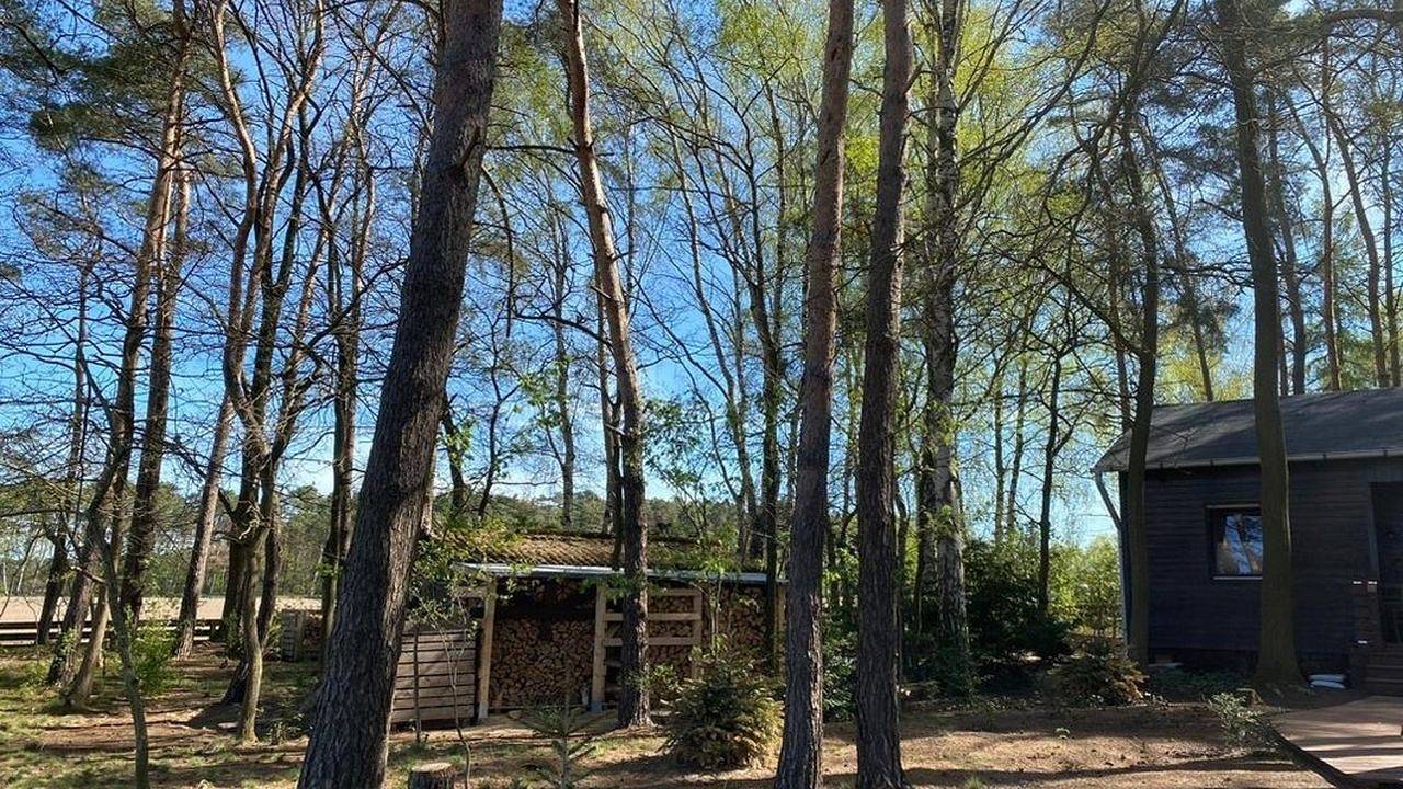 Ferienhaus für 4 Personen (60 m²) in Wittingen in Wittingen, Landkreis Gifhorn