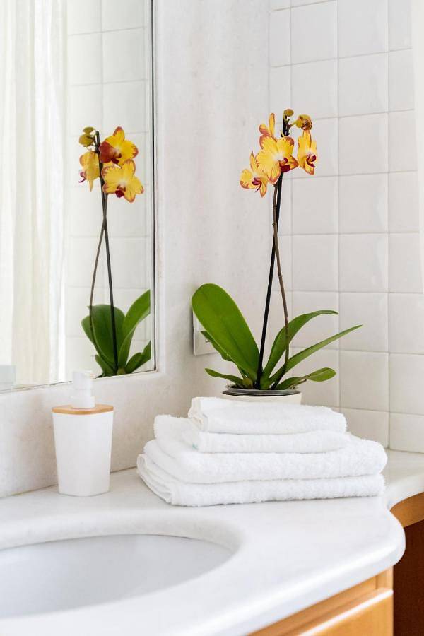 Gîte pour 5 personnes, avec jardin, adapté aux familles à Tempio Pausania - 4