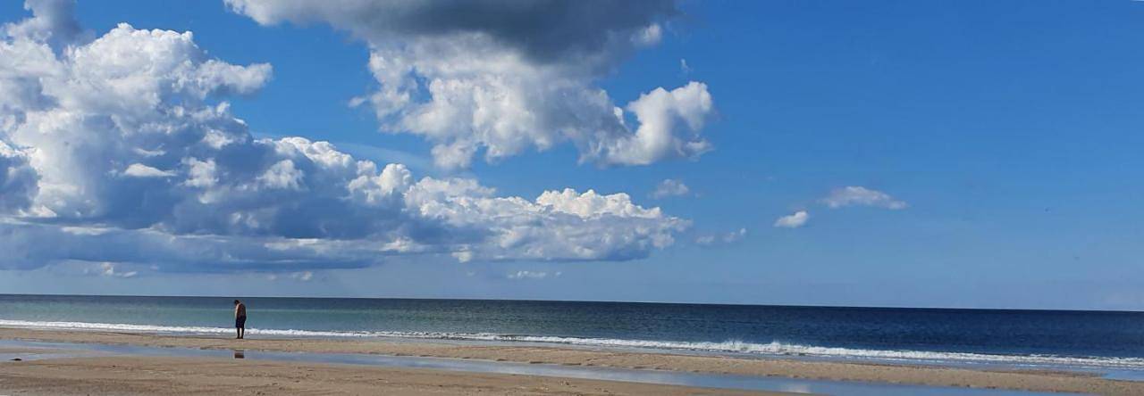 Ferienhaus für 12 Personen, mit Garten und Sauna, kinderfreundlich - 1