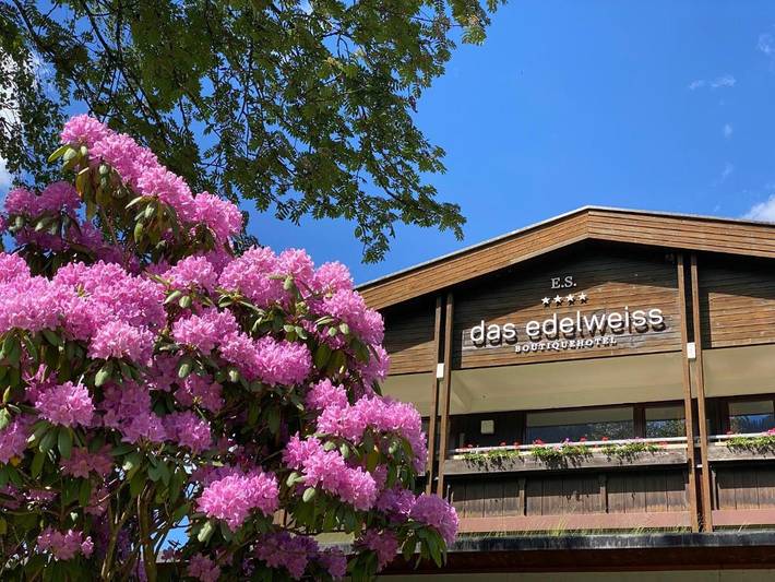 Hôtel pour 2 personnes à Schoppernau - 2