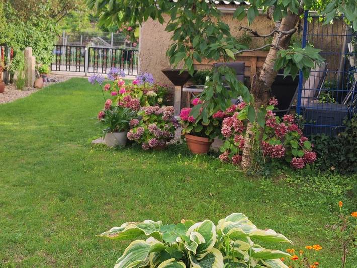 Ferienhaus für 4 Personen, mit Garten und Terrasse in Mecklenburgische Seenplatte - 3