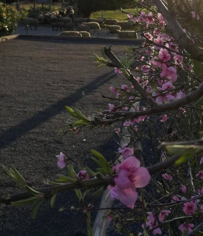 Location de vacances pour 2 personnes, avec Terrasse ainsi que Jardin et Vue à Pontorson - 4